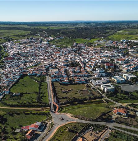 Foto | Ricardo Zambujo