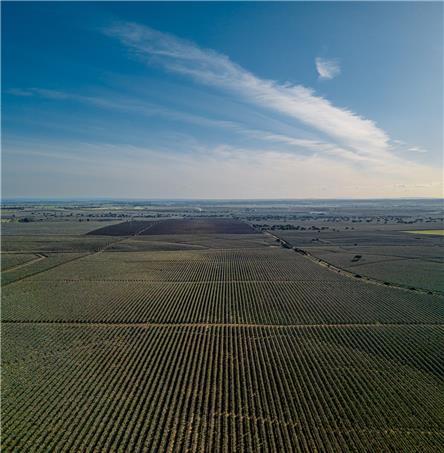 Foto | Ricardo Zambujo