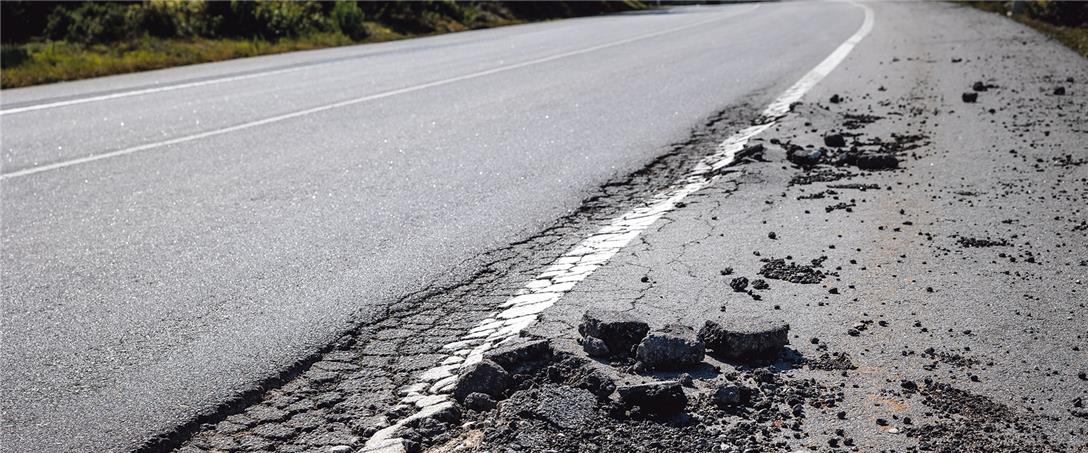 Foto | Ricardo Zambujo