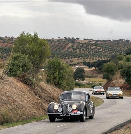 Foto | Bernardo Lúcio