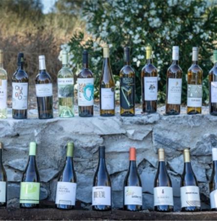 Foto | Ricardo Zambujo