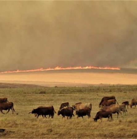 FOTO | RADIO CASTRENSE