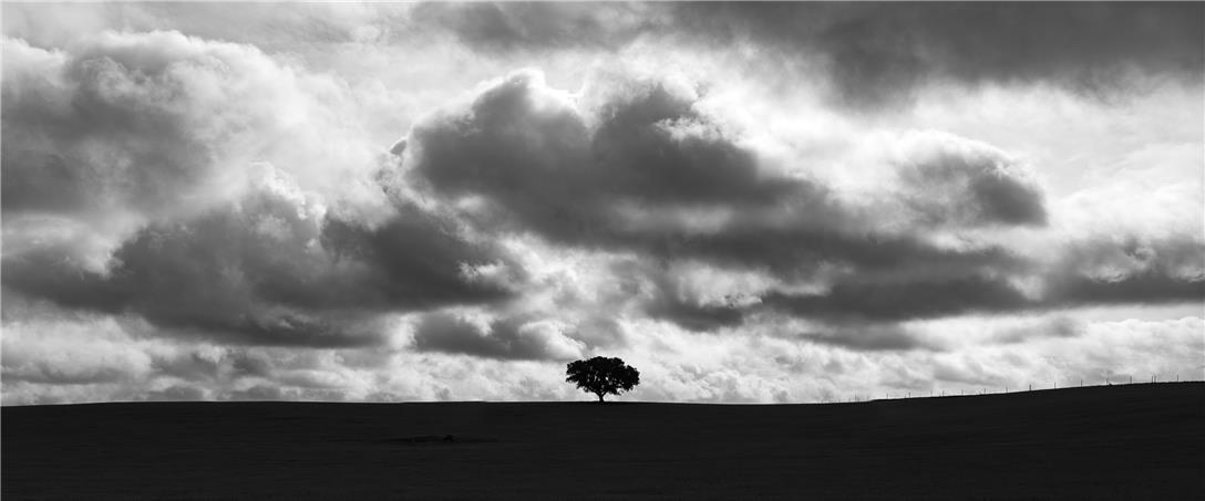 Foto | Ricardo Zambujo