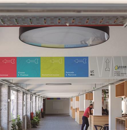 Foto | Ricardo Zambujo