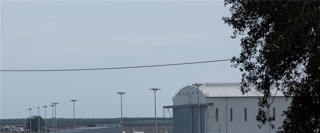 Foto | Ricardo Zambujo