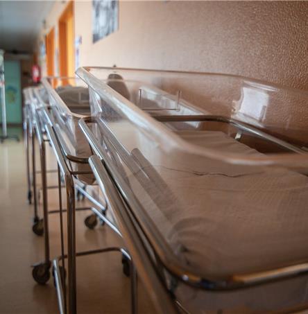 Foto | Ricardo Zambujo