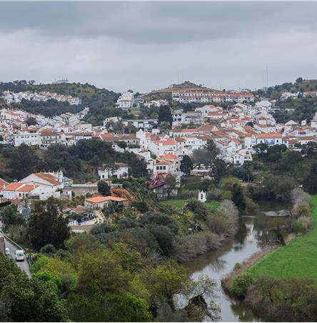 Foto | Ricardo Zambujo