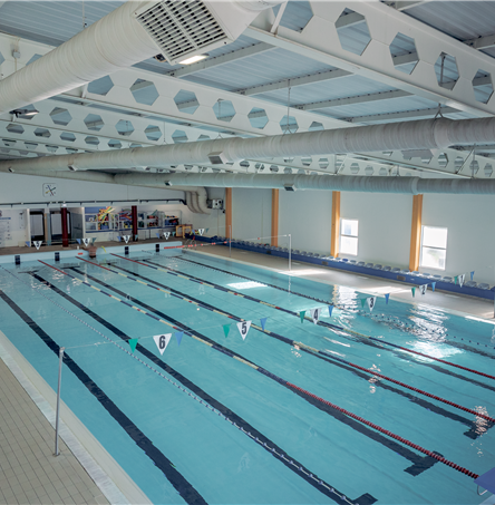 Foto | Ricardo Zambujo