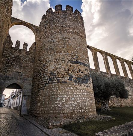 Foto | Ricardo Zambujo