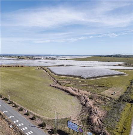 Foto | Ricardo Zambujo