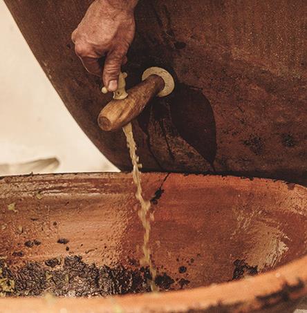 Foto | Ricardo Zambujo