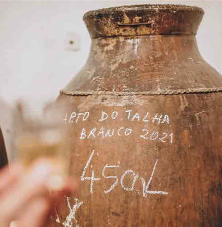 Foto | Ricardo Zambujo