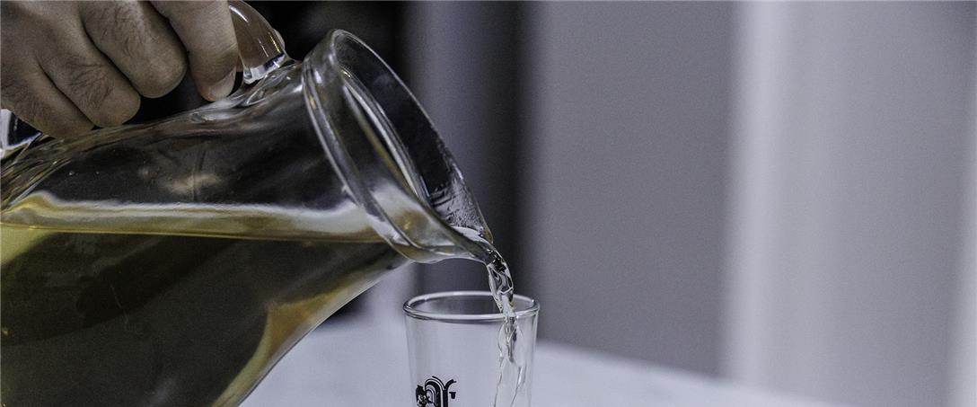 Foto | Ricardo Zambujo